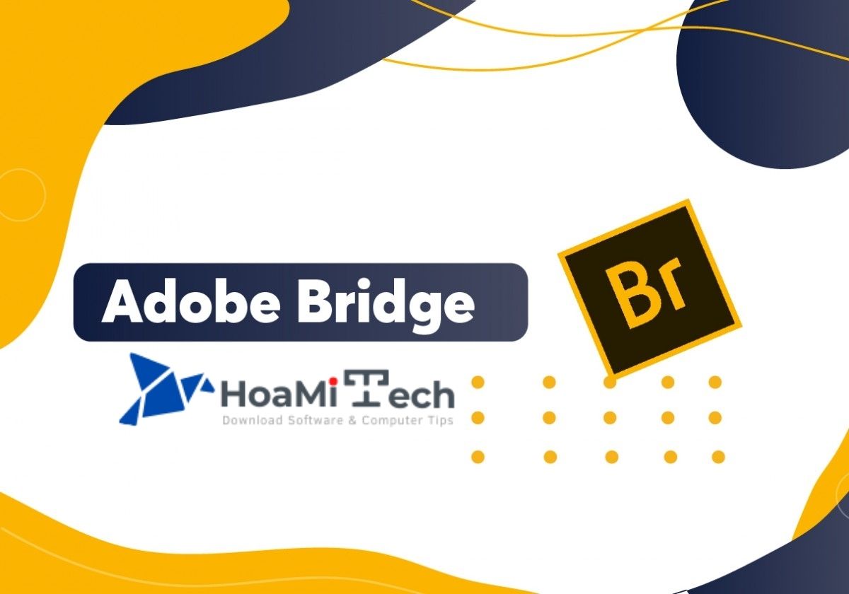 adobe bridge 2020 free download