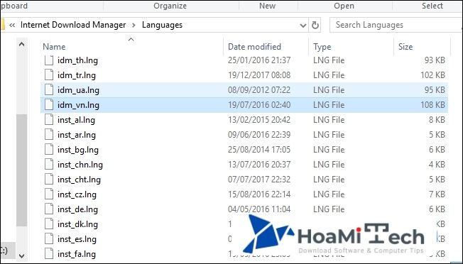Copy 3 file vào thư mục cài đặt của IDM
