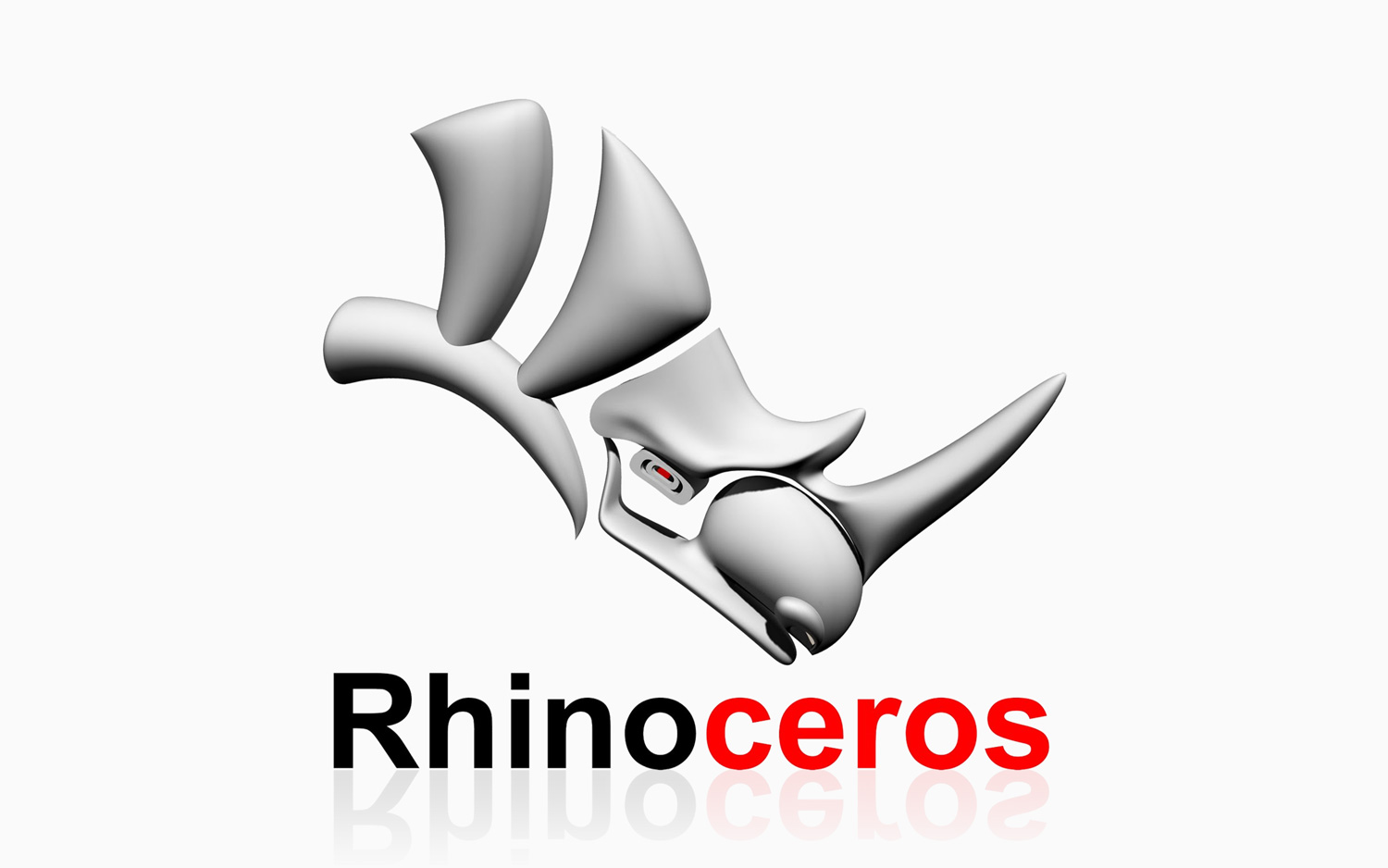 tai rhinoceros 6