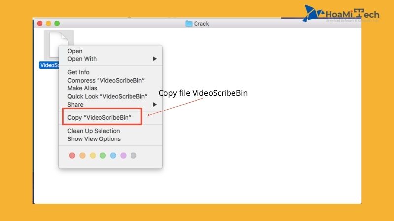 Copy file VideoScribeBin
