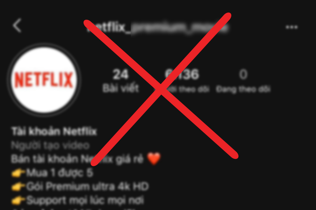 Dấu hiệu lừa đảo khi bán tài khoản Netflix giá rẻ