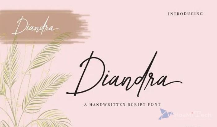 Diandra Signature