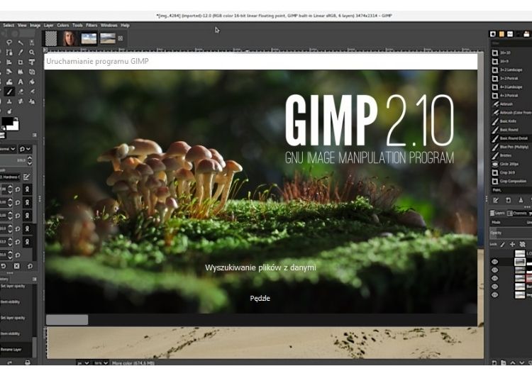 Phần mềm vẽ trên máy tính chất lượng cao - GIMP
