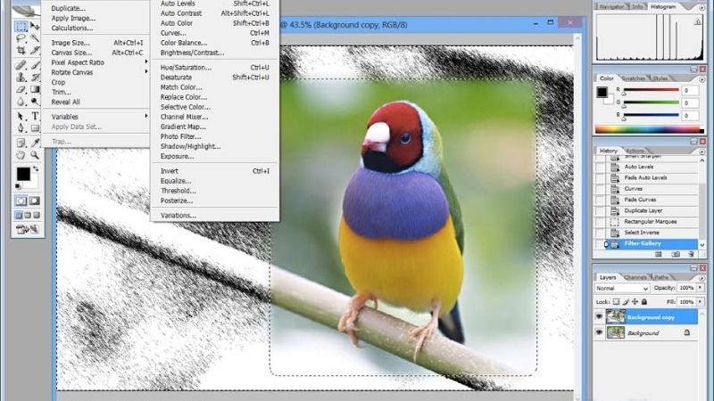 Giới thiệu về Adobe Photoshop CS2
